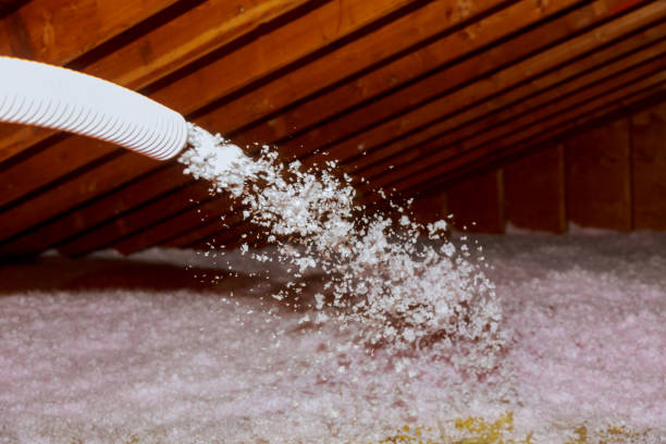 Types of Insulation We Offer in Suwanee, GA