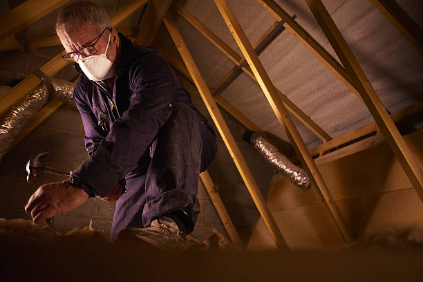Best Specialized Insulation Services in Suwanee, GA